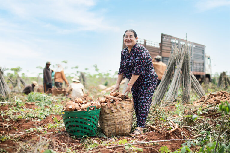 Amret client success stories: Kampong Cham planter turns cassava trade into a lucrative business