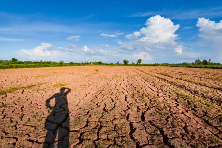 Farmers Don’t Have Enough Water. Can AI Help?