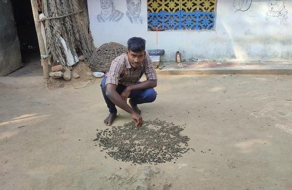 This TN youth lives entrepreneur dream by selling organic manure online- The New Indian Express