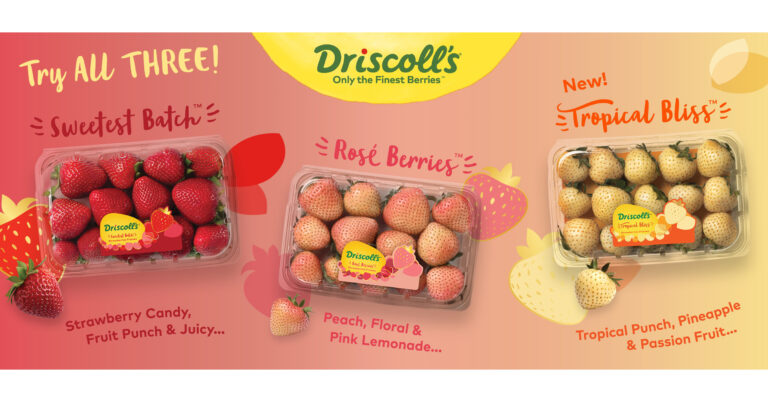 Driscoll’s newest high-flavor innovation, Tropical Bliss™, joins Rosé Berries™ and Sweetest Batch™ in the grocery aisle