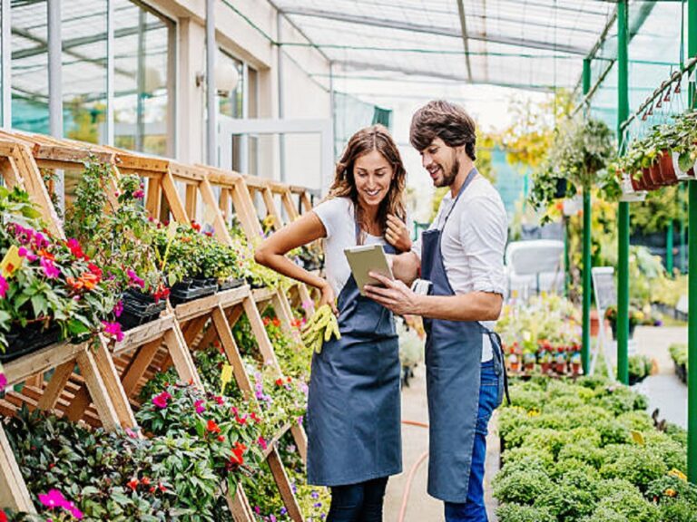 A Complete Guide to Help You Start Your Own Plant Business