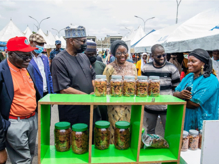 AbdulRazaq Pledges more Support for Entrepreneurship at Kwara Youth Fair