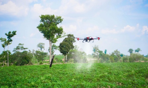 Cambodia cassava farmers eye drone technology