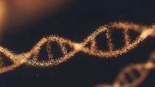 DNA Devices Safe To Use in Medical Applications