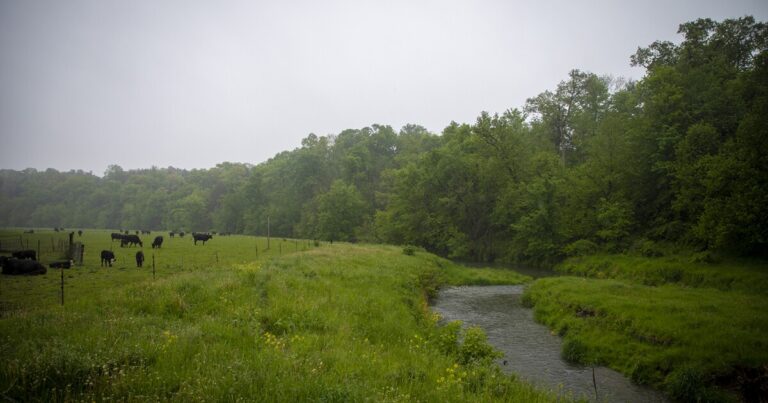 How one small watershed got off Iowa’s list of hundreds of water impairments