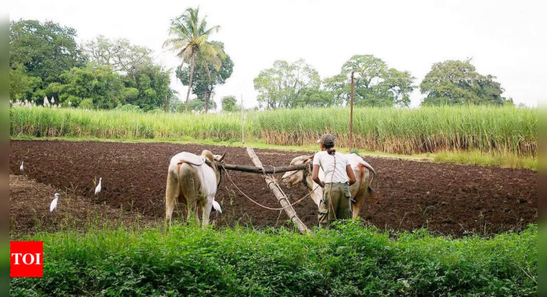 ICAR releases compilation of success stories of 75,000 farmers, claiming increase in their income up to 200% in most states | India News