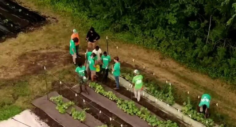 BoysGrow gives youth farm, entrepreneurial experience