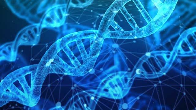 “Junk” DNA May Lead to Cancer Development