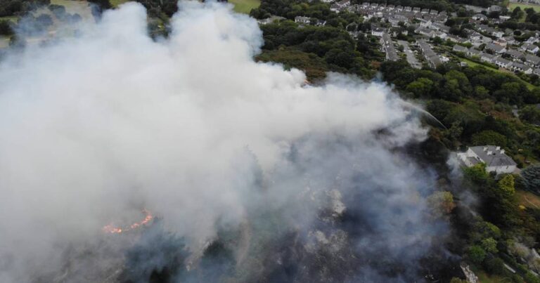 How technology is being deployed to put out wildfires – The Irish Times