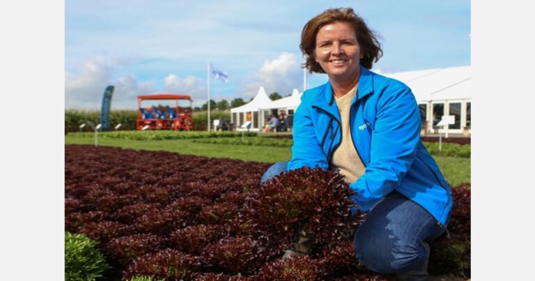 Fields of Innovation for vegetable growers to be held in Netherlands