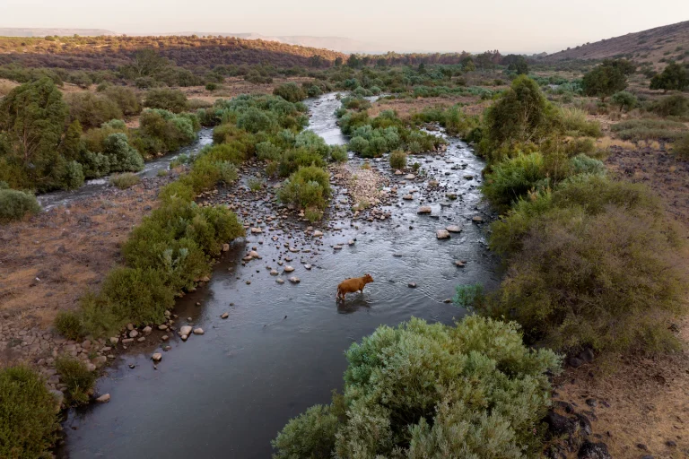 Mideast’s Jordan River: Rich in holiness, poor in water