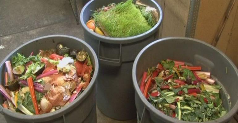 Minneapolis’ Composting Success Story | Waste360