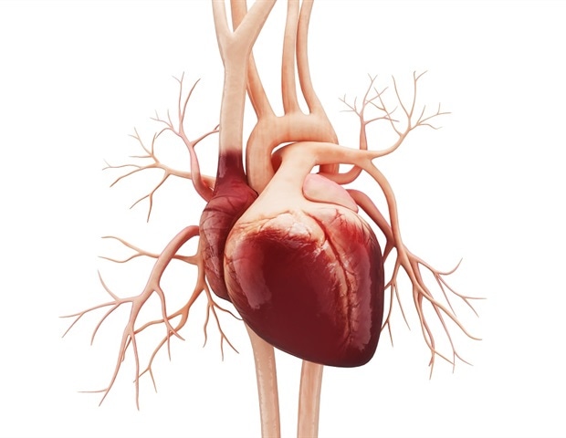 Cutting-edge technology uses MRI to diagnose patients with heart failure in record time