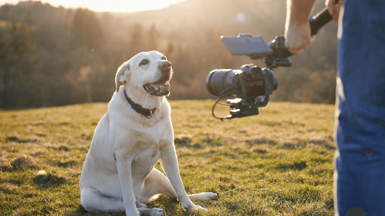 32 Videography Business Ideas – Small Business Trends