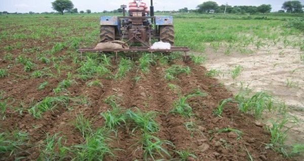 Success story: Laser levelling and ridge furrow in pearl millet increase yield in MP