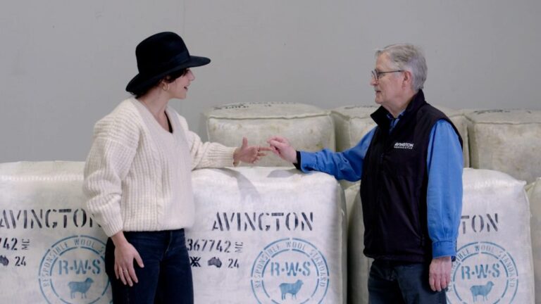 Innovation in Wool | Avington Merino