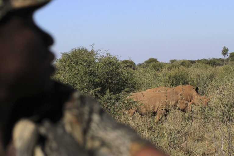 Africa’s national parks deploy tracking technology to combat poaching, habitat loss