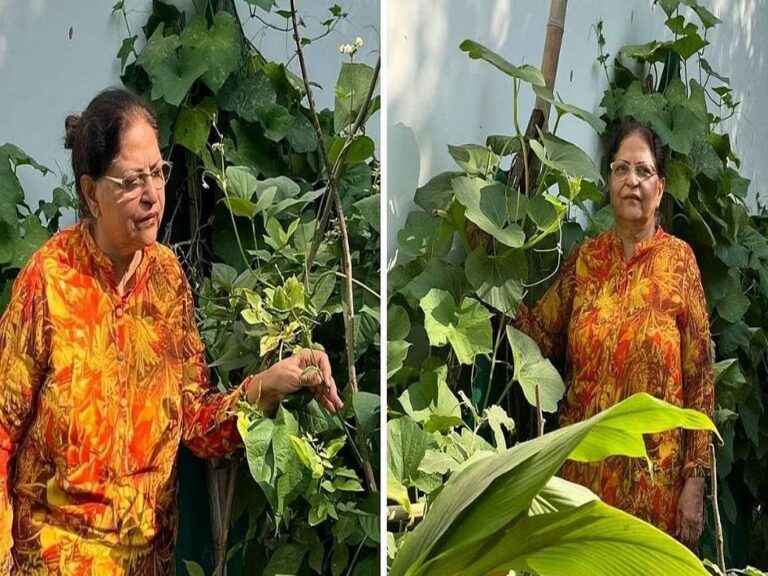 Woman Studies Gardening in Her 60s, Grows Organic Veggies in Her Terrace