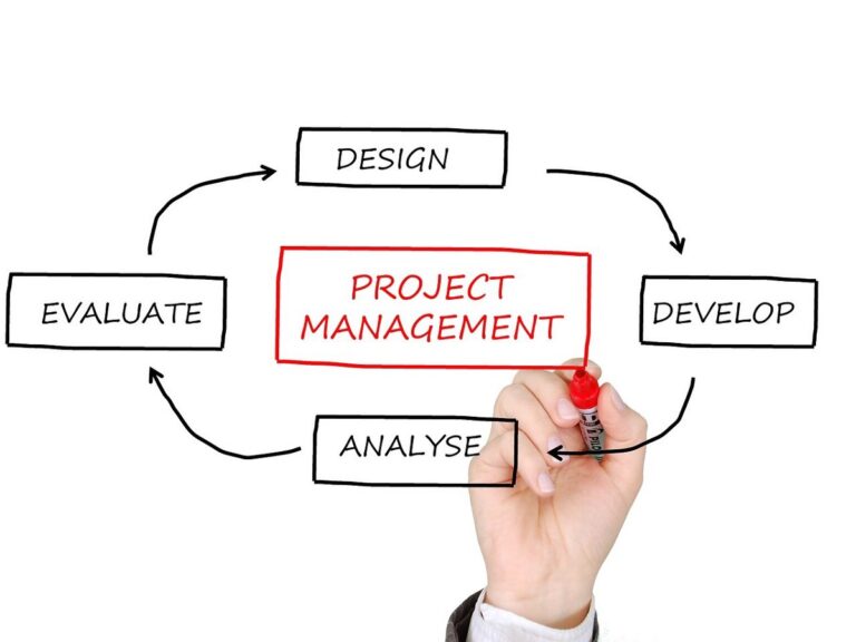 How Project Management Can Help the Business | by Rui Manuel Pereira | Dec, 2022