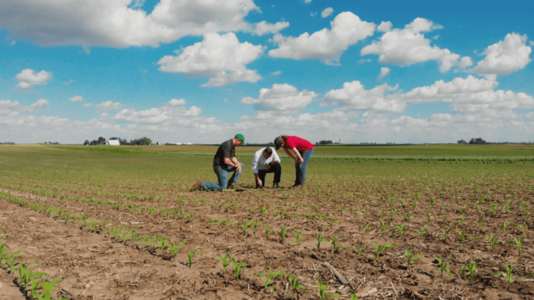 Iowa State University builds innovative public-private partnerships for ag