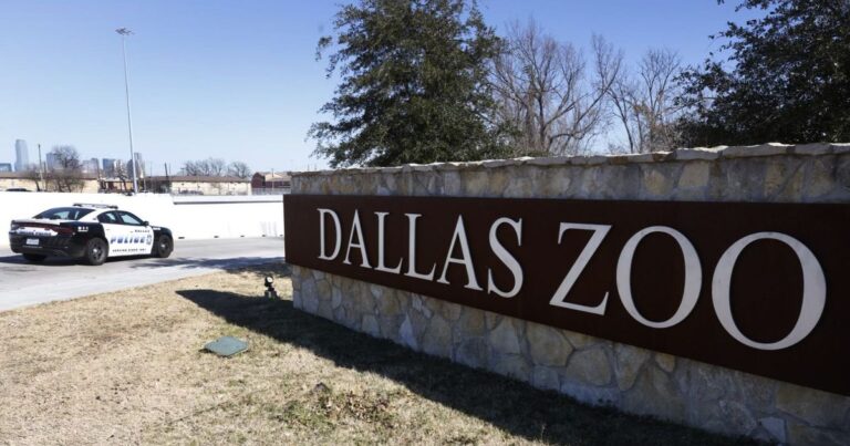 Monkey theft, vulture death threaten Dallas Zoo’s redemption story